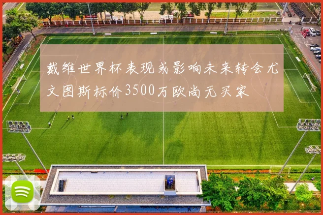 戴维世界杯表现或影响未来转会尤文图斯标价3500万欧尚无买家