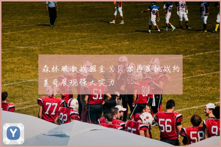 森林狼激战掘金戈贝尔再度挑战约基奇展现强大实力